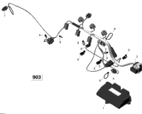 Engine Harness And Electronic Module Ace 900 Ho