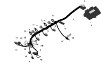 Rotax - Engine Harness And Electronic Module