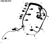Engine Harness