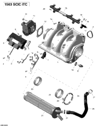 Air Intake Manifold And Throttle Body - 215