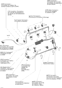 Engine Harness