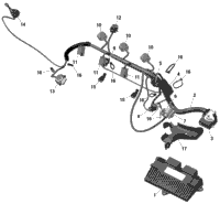 Rotax - Engine Harness And Electronic Module - 90 Hp
