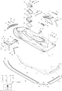 Body, Rear View