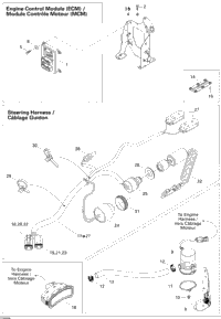 Electrical Accessories