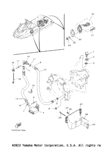 Hull & Deck