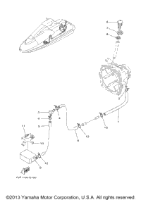 Hull & Deck