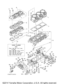 Cylinder. Crankcase 1