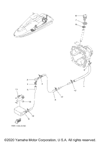 Hull & Deck
