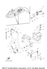 Hull & Deck