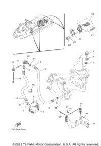 Hull & Deck