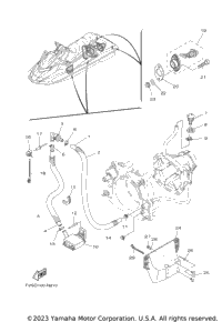 Hull & Deck