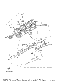 Injection Pump