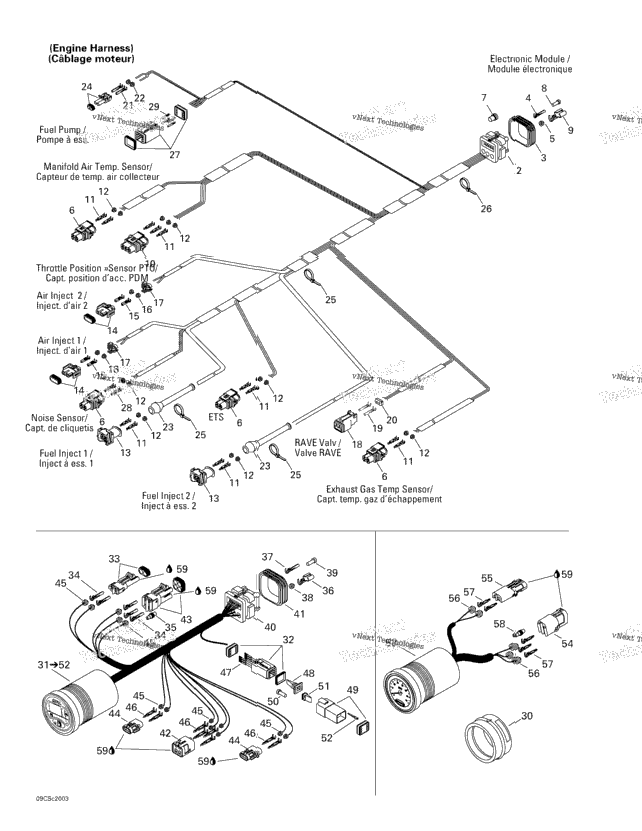 Electrical Harness And Accessories