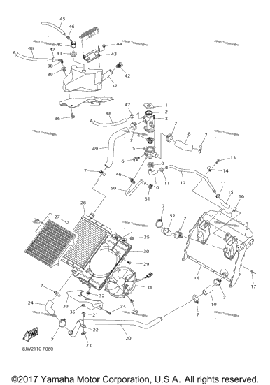 Radiator Hose