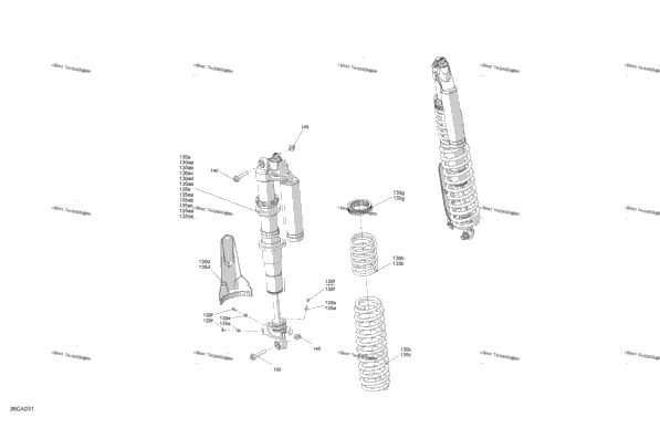 Suspension - Rear Shocks