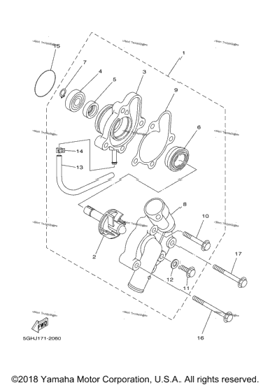 Water Pump