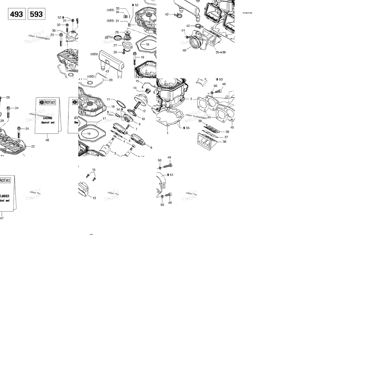 Cylinder, Exhaust Manifold, Reed Valve (493, 593)