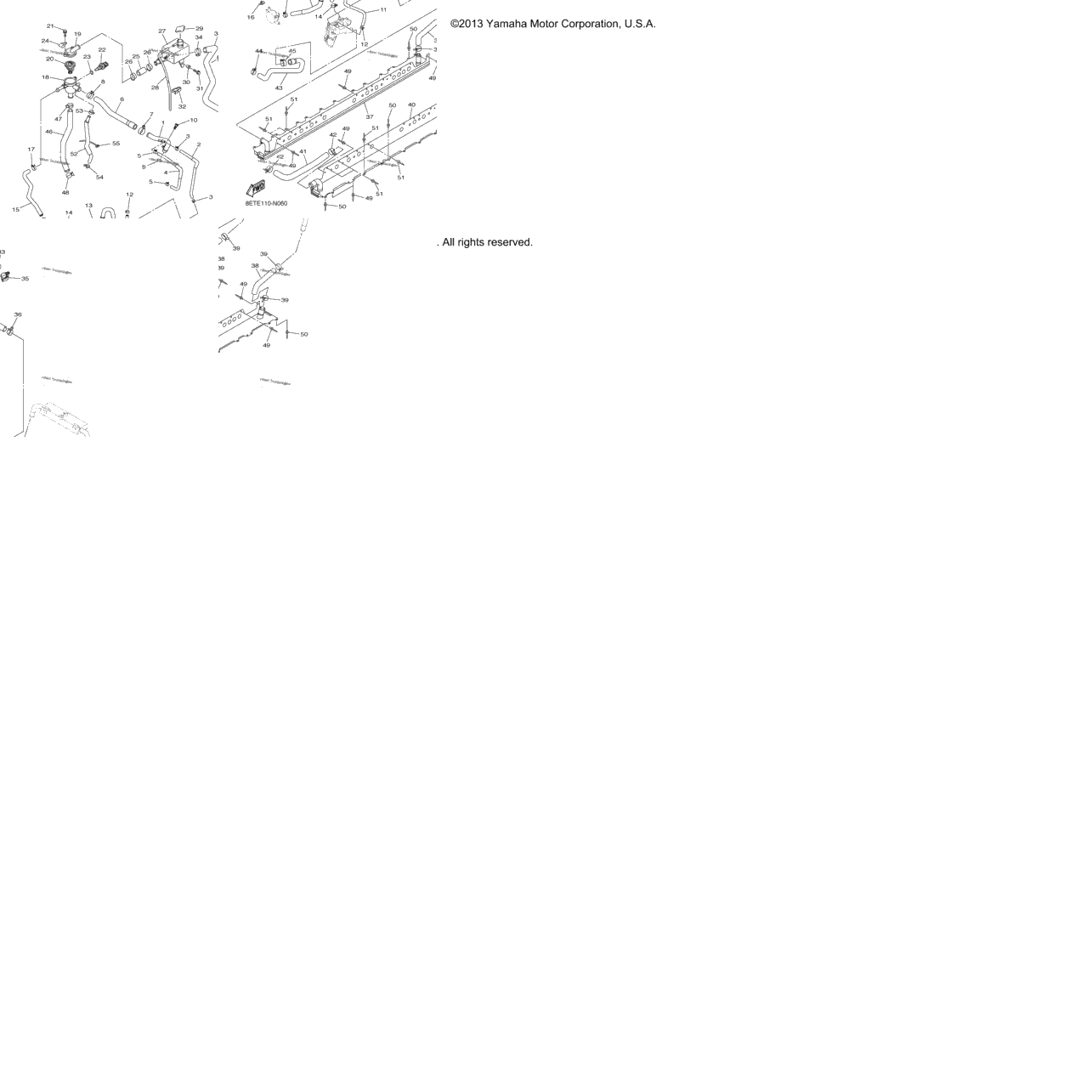 Radiator Hose