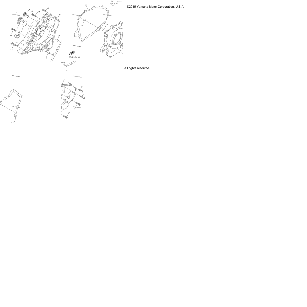 Crankcase Cover 1