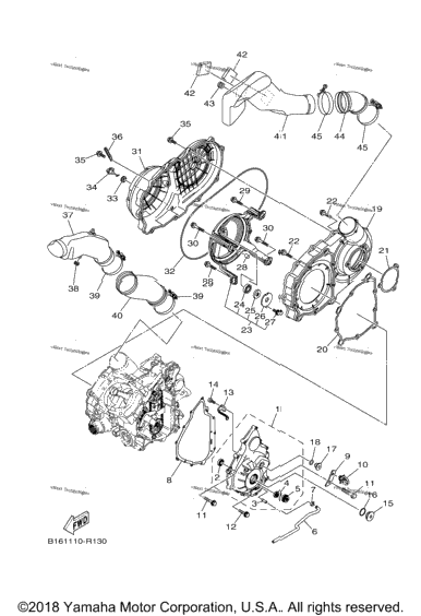 Crankcase Cover 1