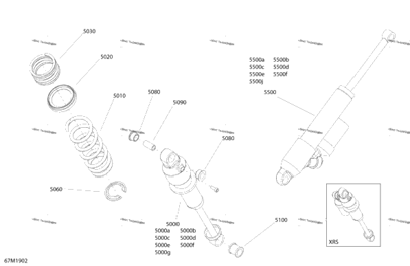 Rear Shocks - Xrs