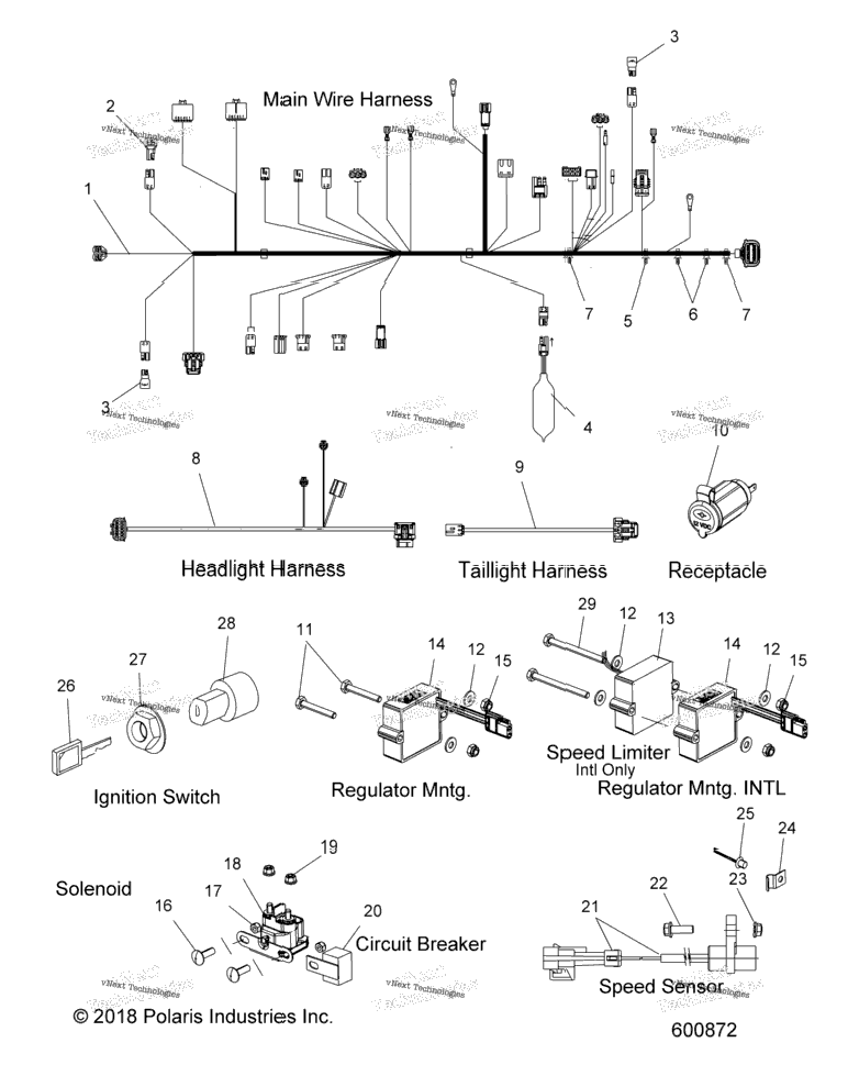 Electrical, Wire Harnesses & Components