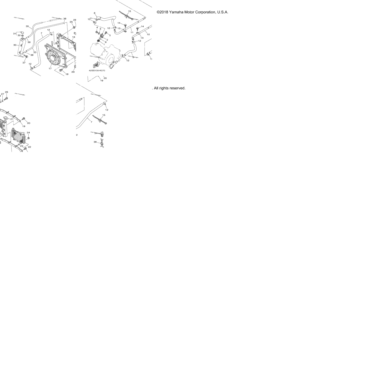 Radiator Hose