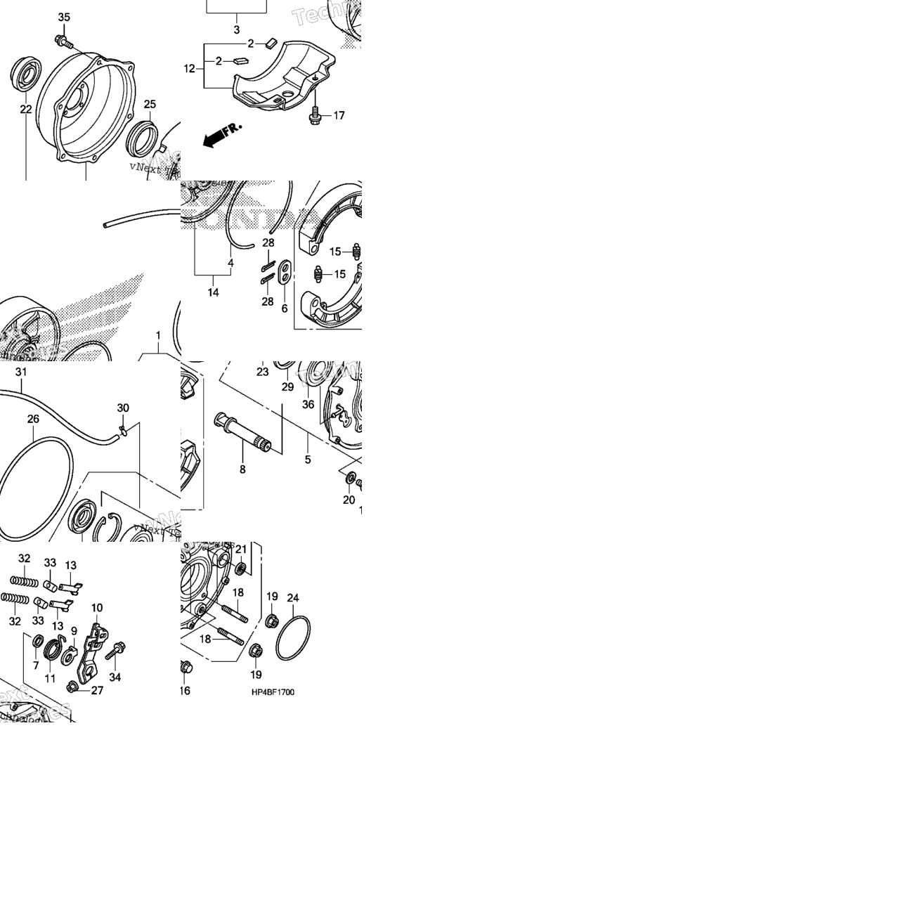 Rear Brake Panel