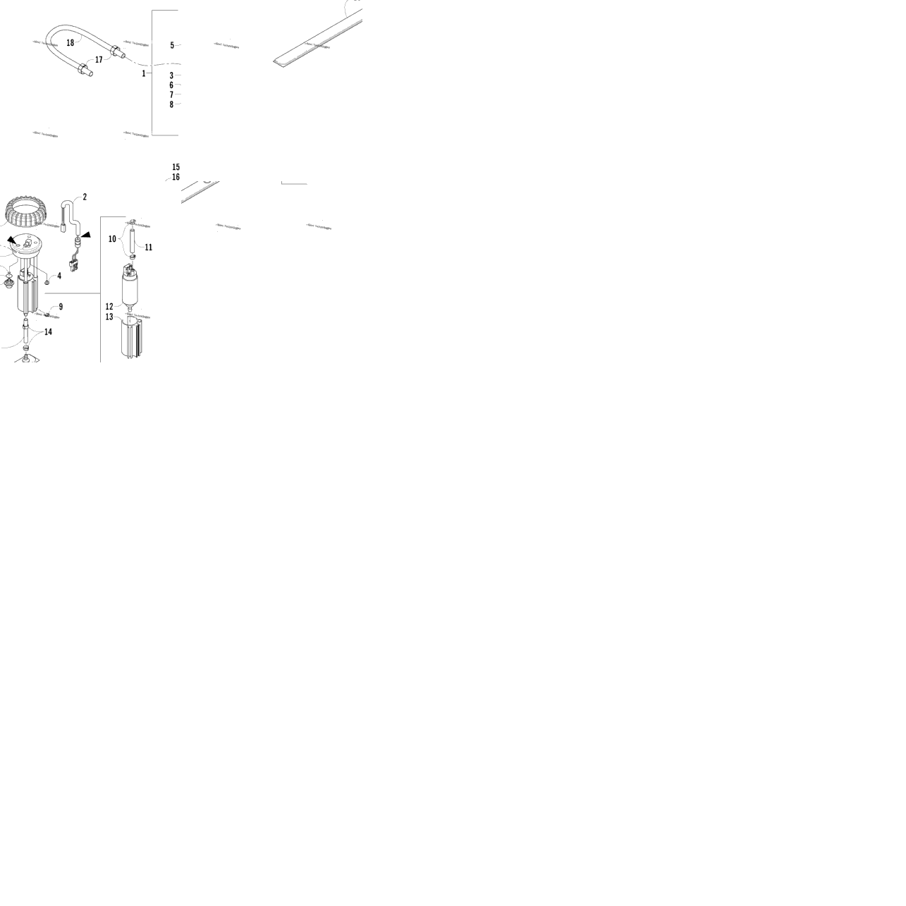 Fuel Pump Assembly