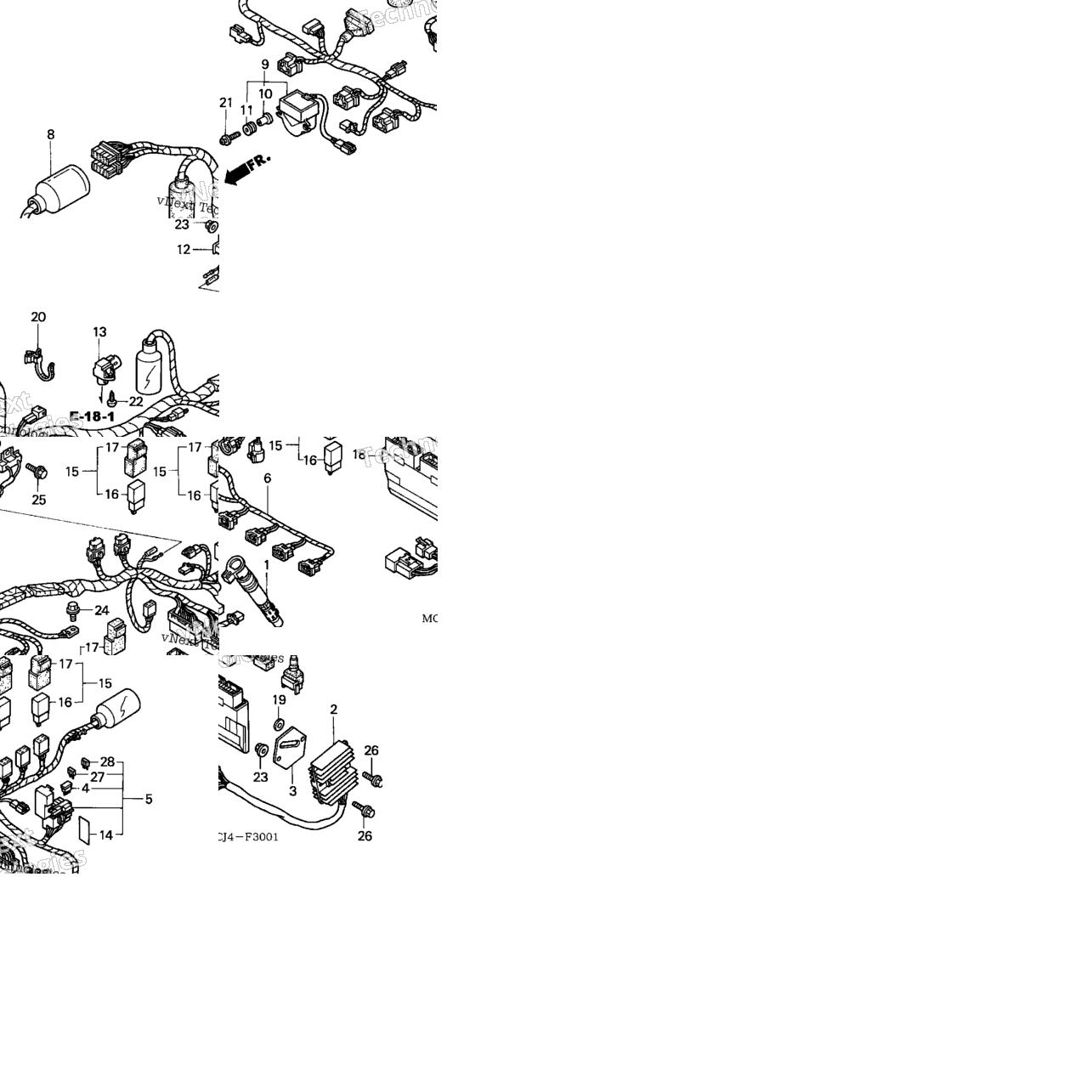 Wire Harness (2)