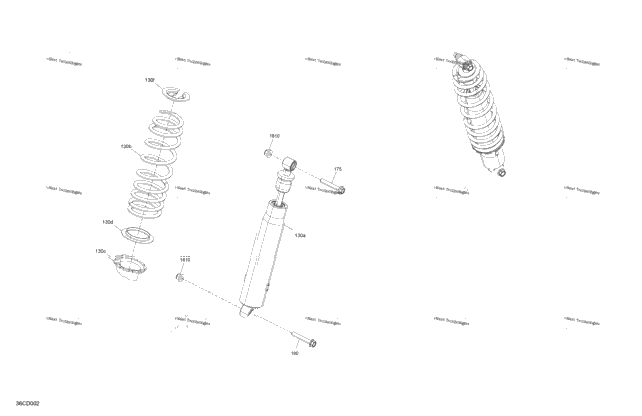 Suspension - Rear Shocks
