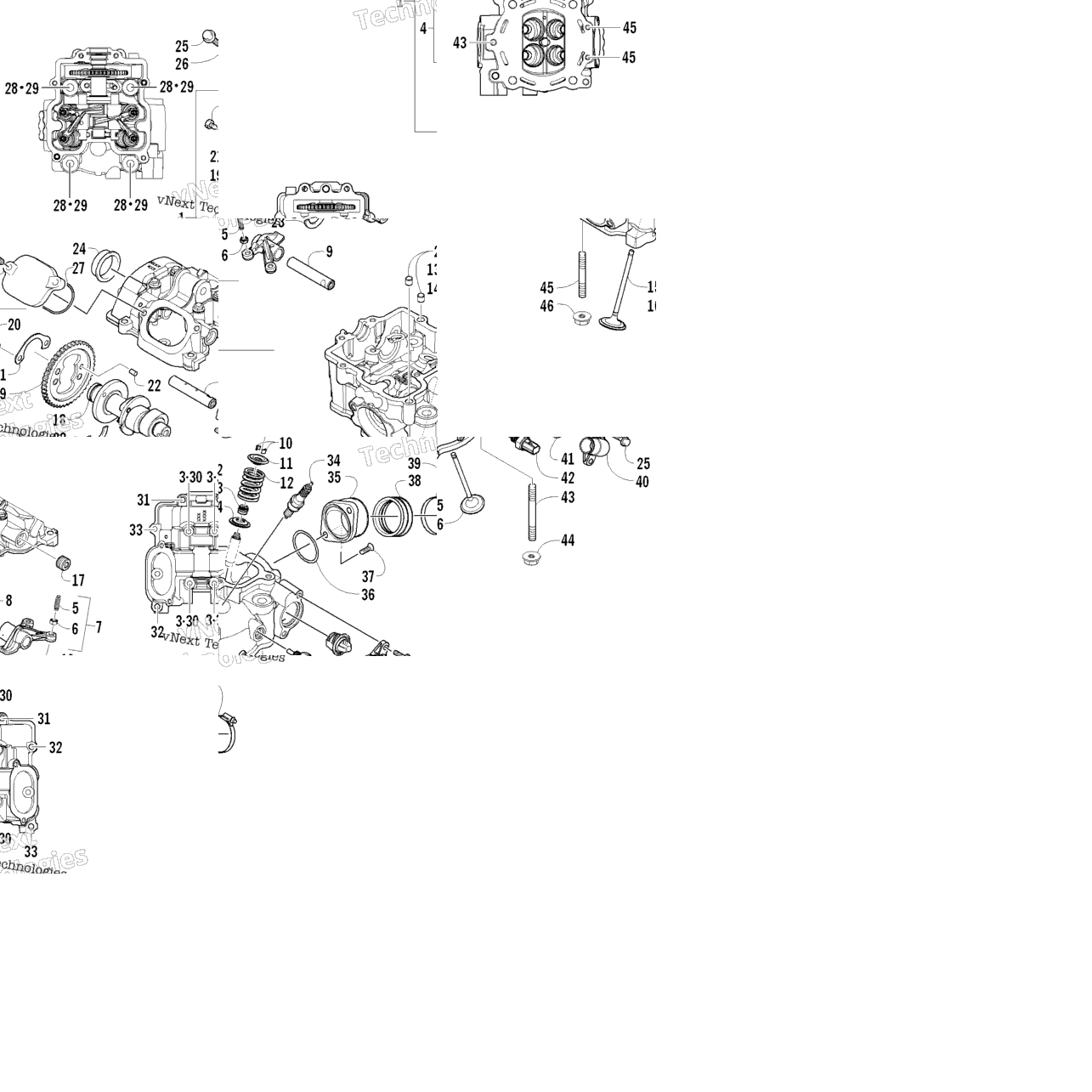 Cylinder Head And Camshaft/Valve Assembly