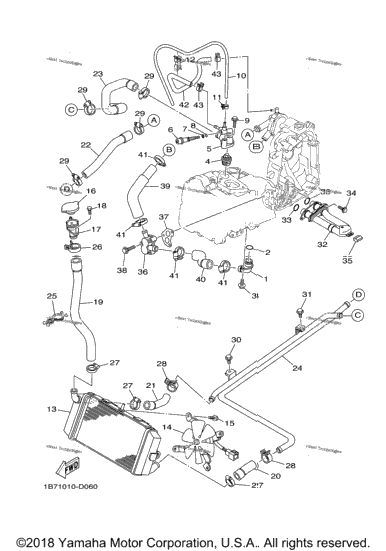 Radiator Hose