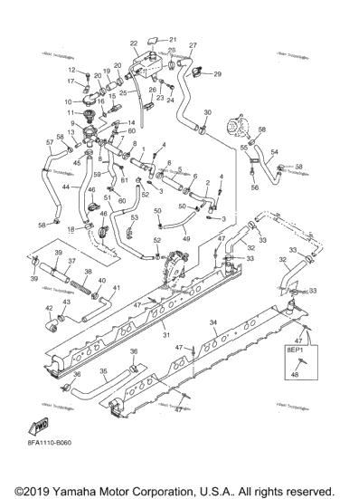 Radiator Hose