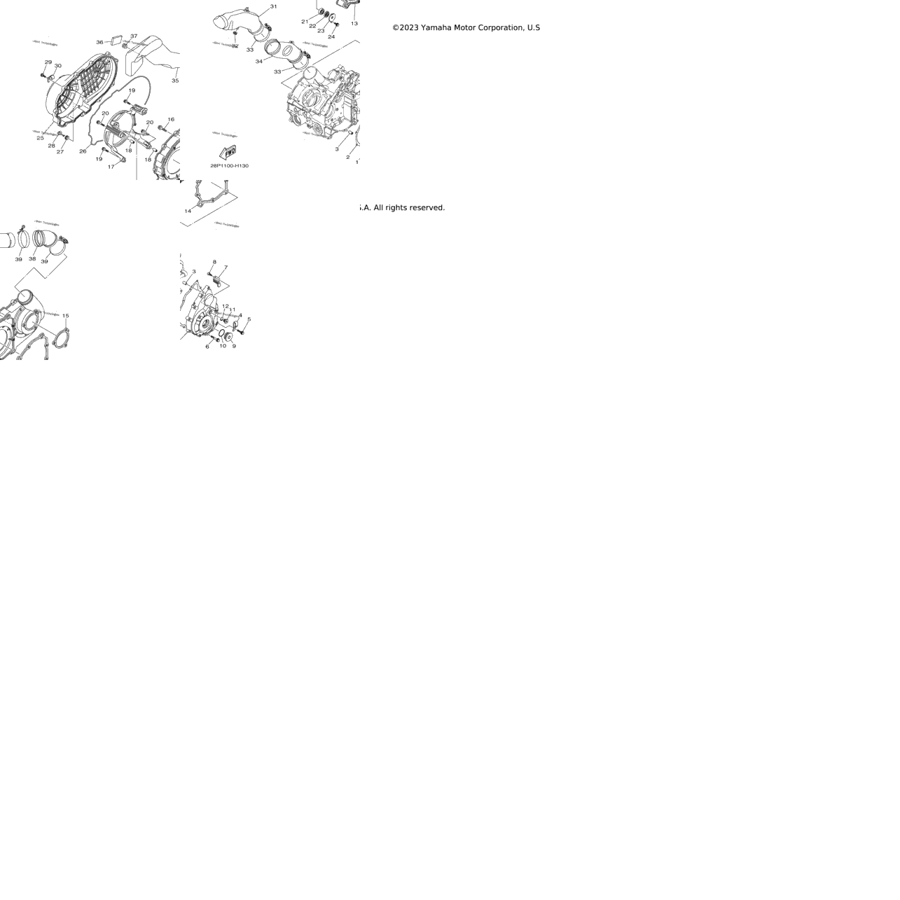 Crankcase Cover 1