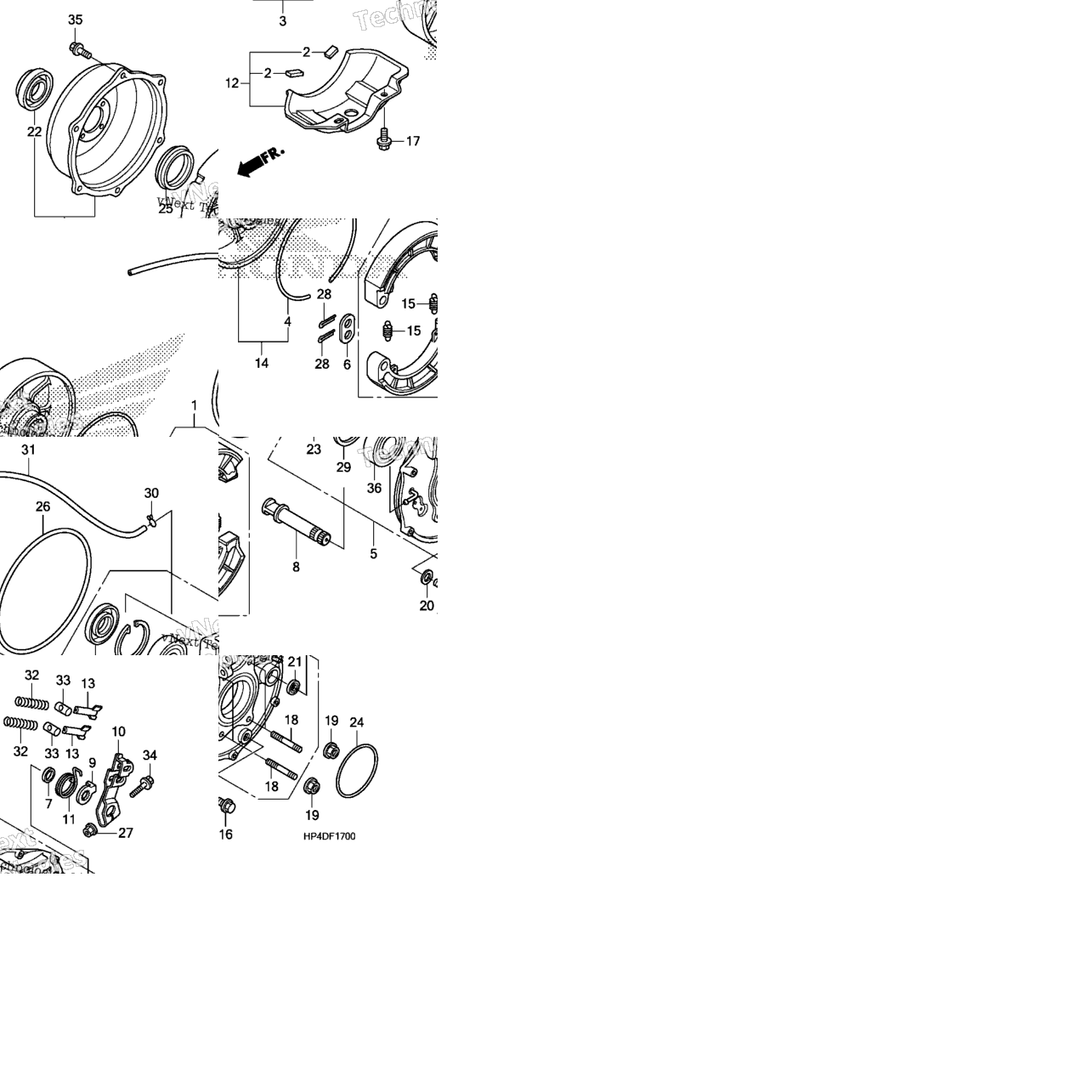 Rear Brake Panel
