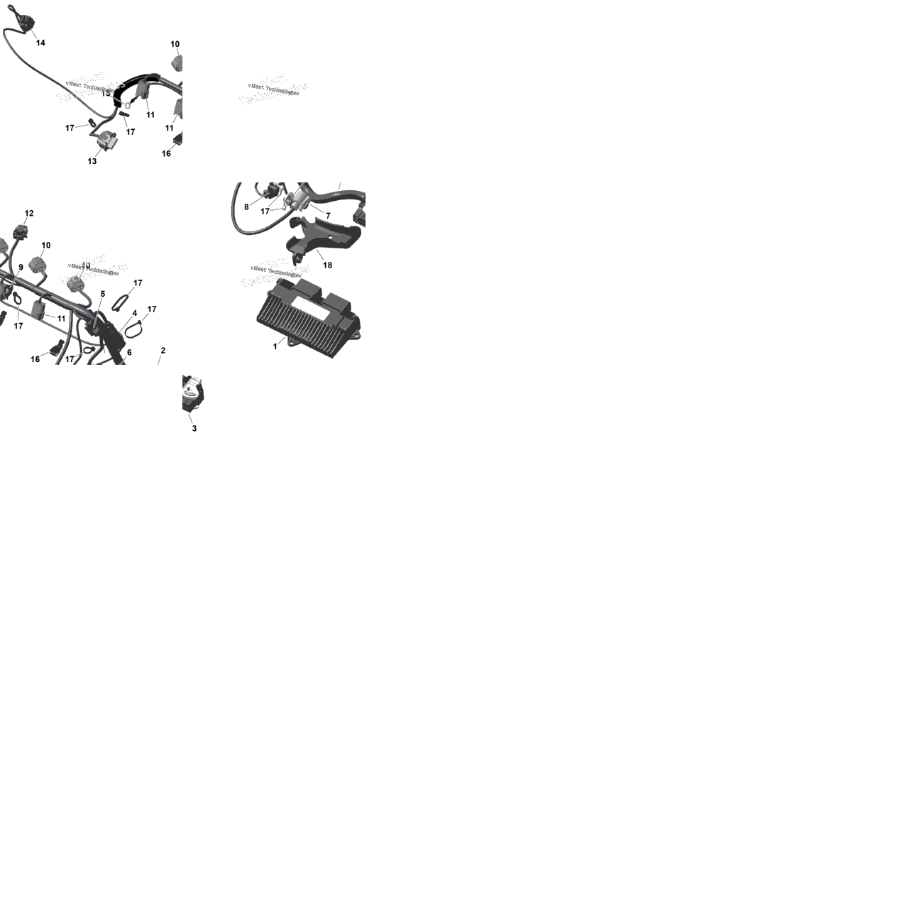 Rotax - Engine Harness And Electronic Module