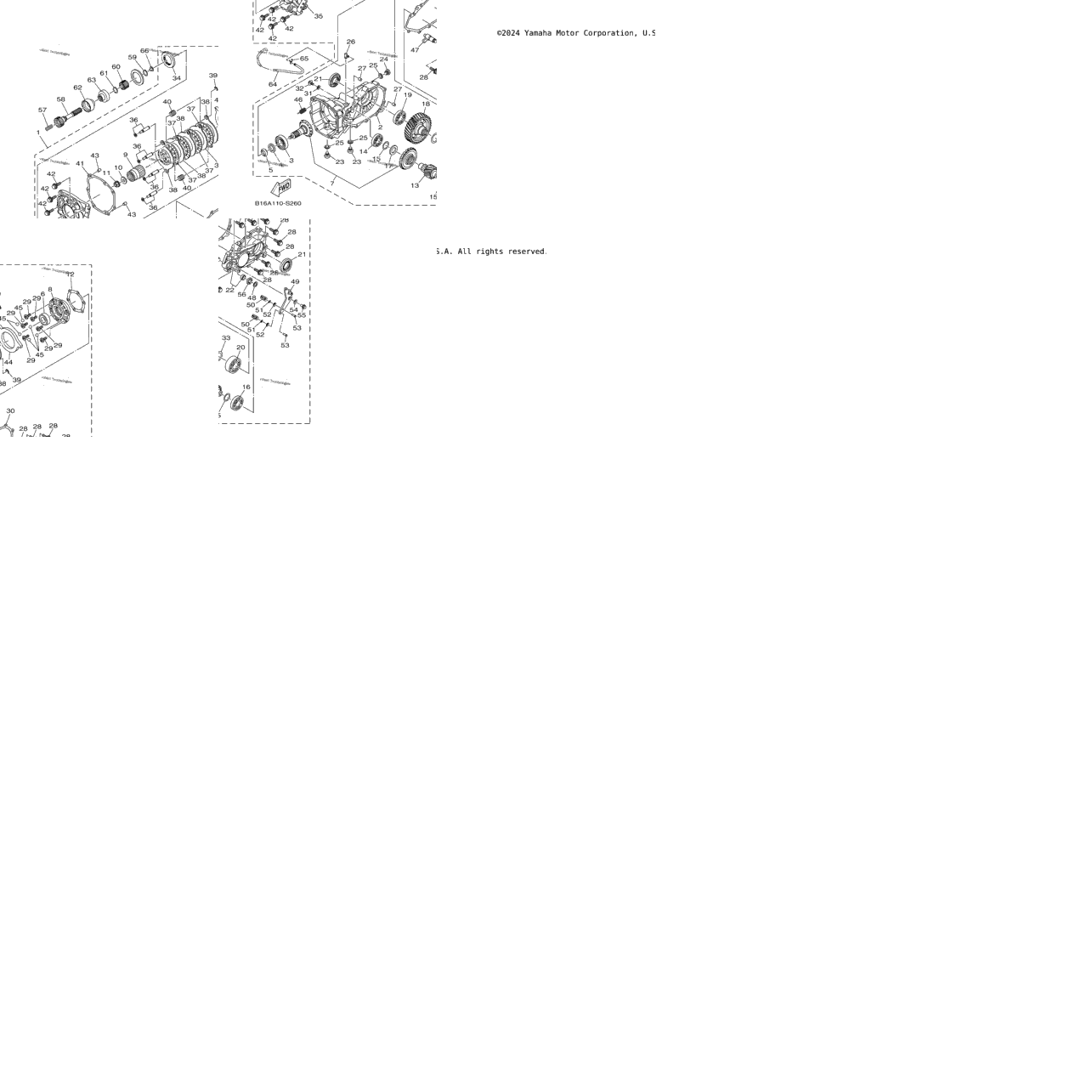 Drive Shaft