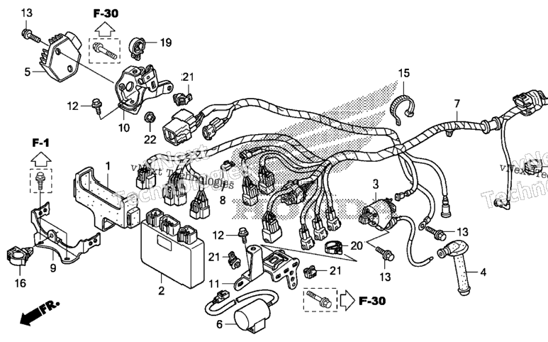 Wire Harness
