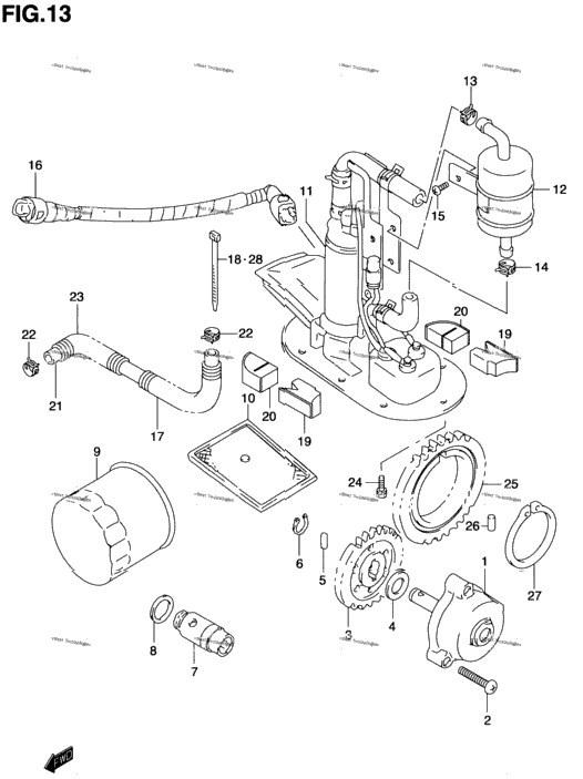 Oil Pump / Fuel Pump