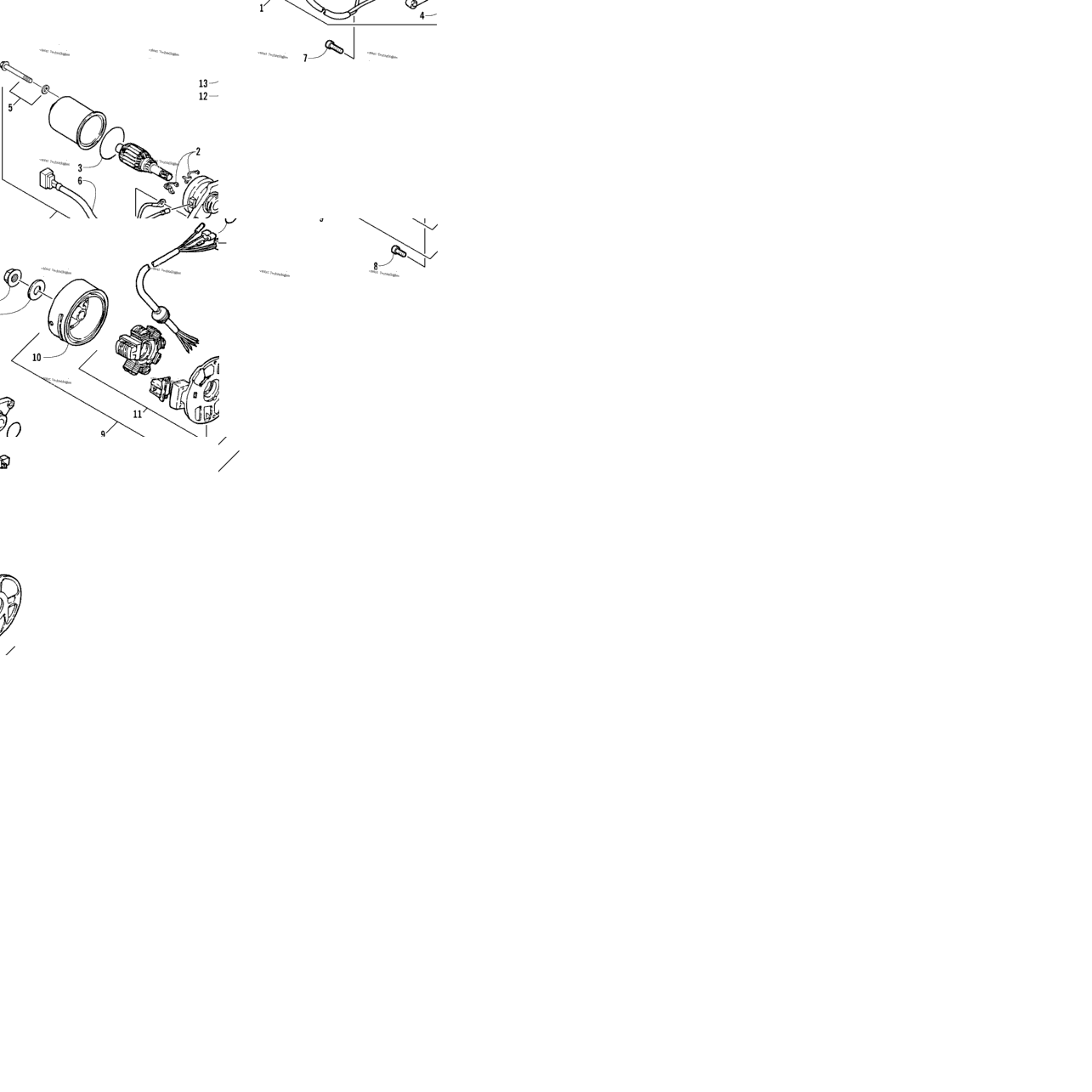 Magneto And Starter Motor Assembly