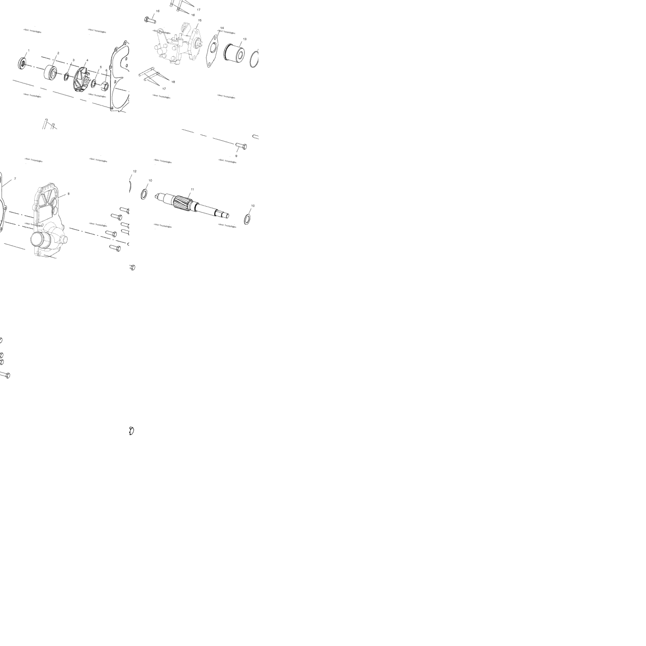 Water Pump/Oil Pump