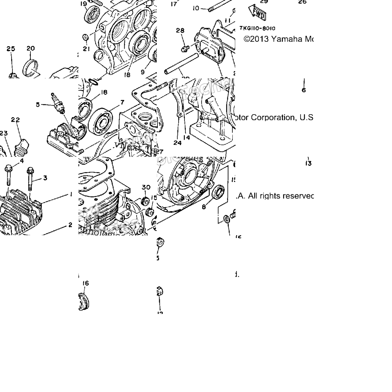 Cylinder - Crankcase