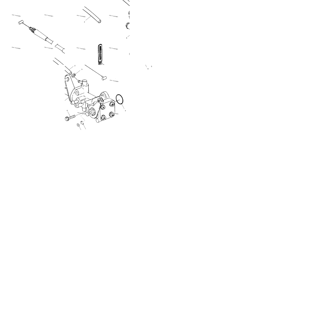 Oil Pump /D/I