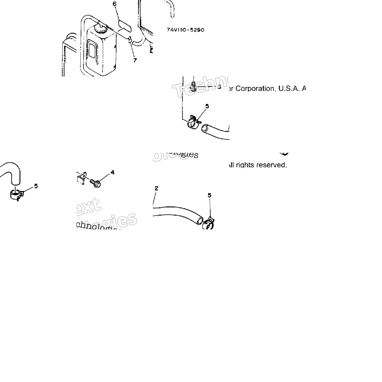 Radiator Hose