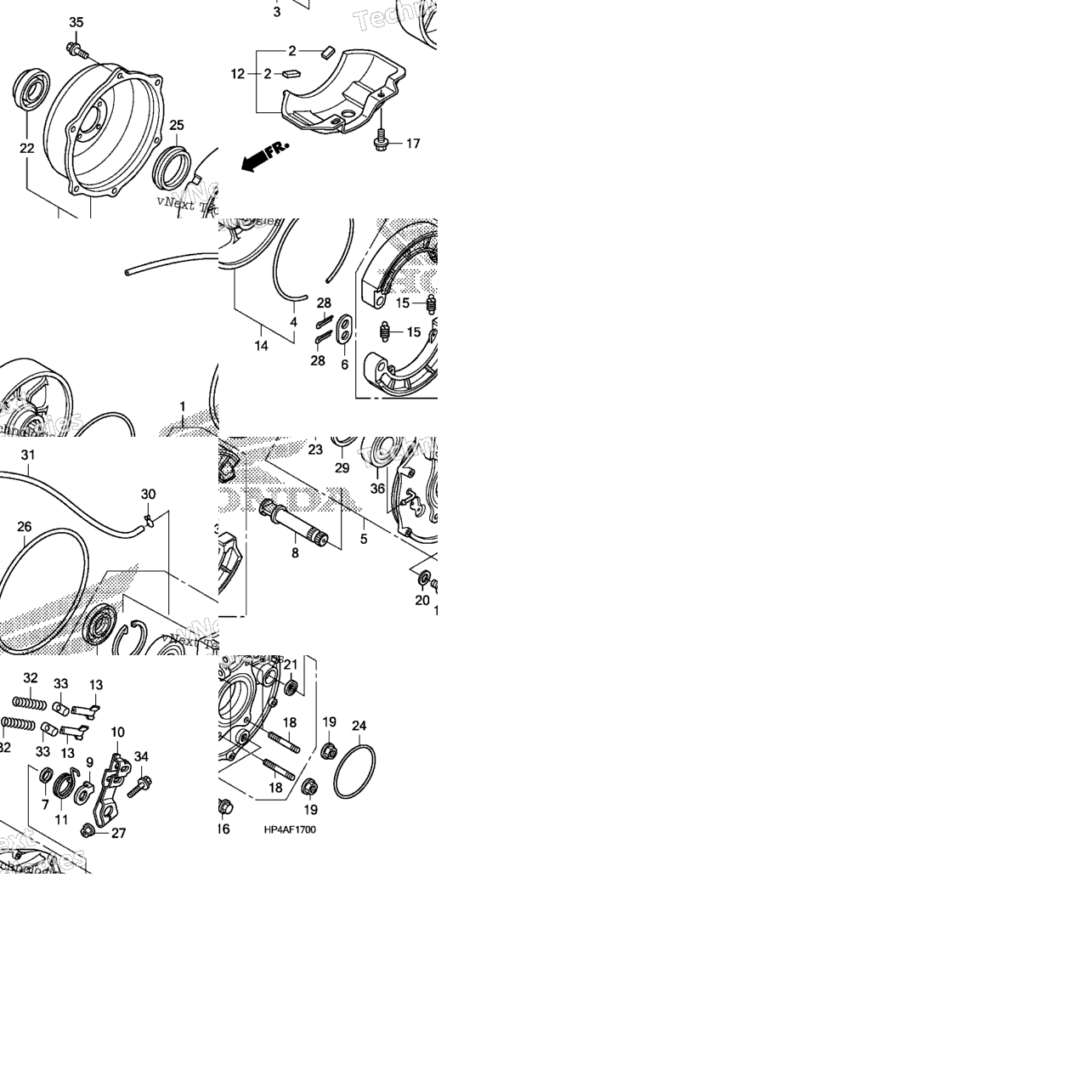 Rear Brake Panel