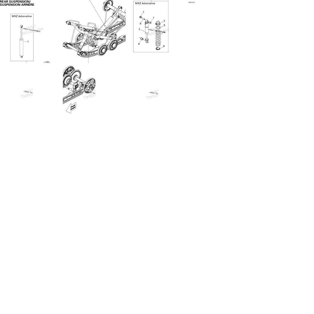 Rear Suspension Shocks