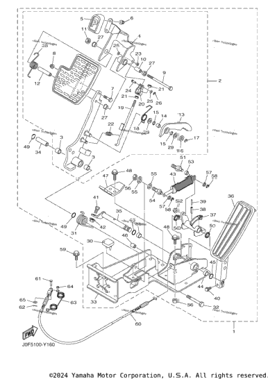 Pedal Assembly