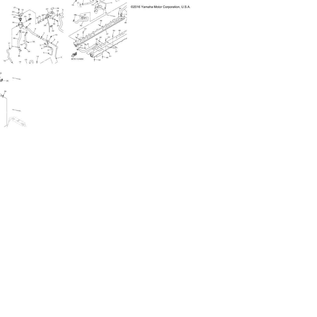 Radiator Hose