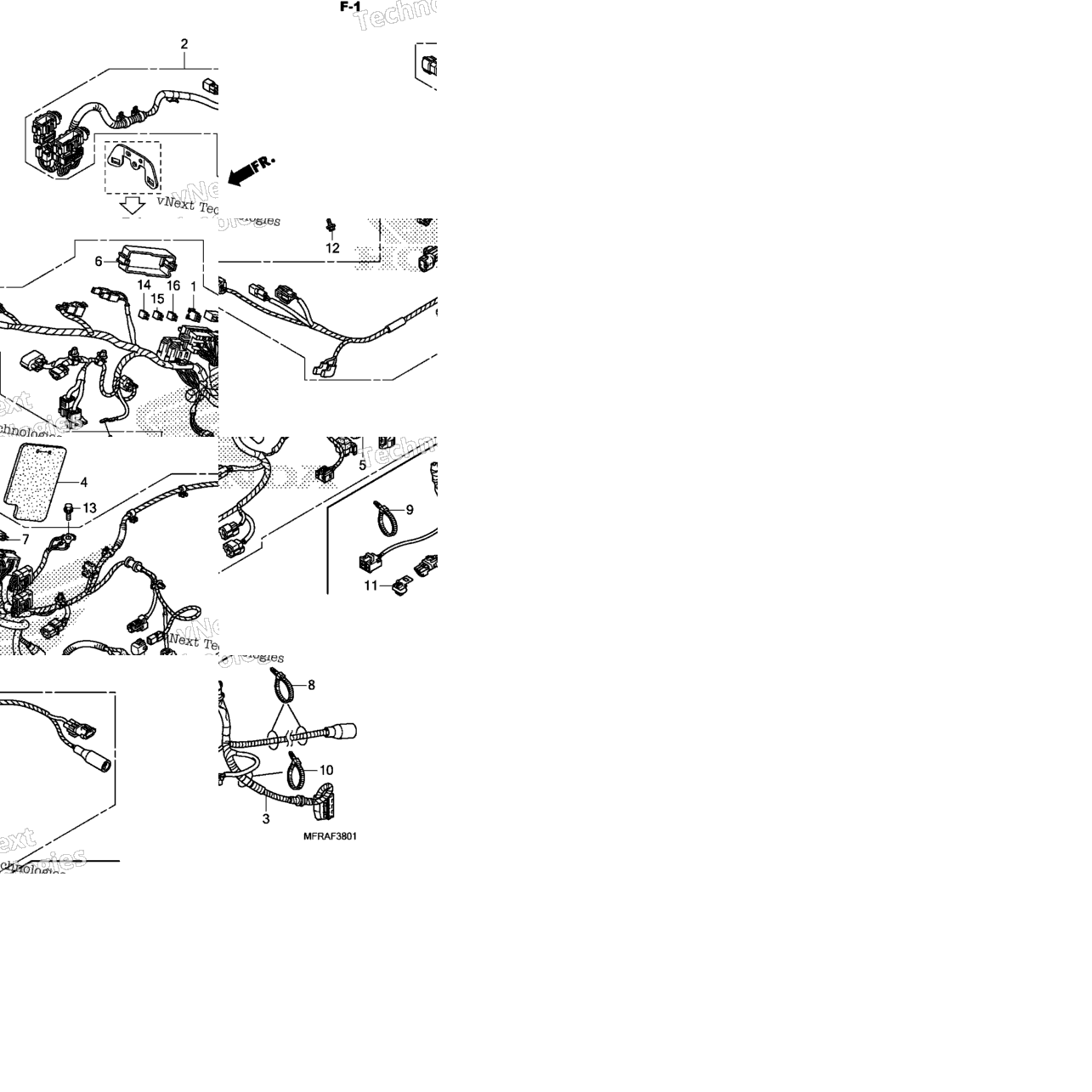 Wire Harness (2)